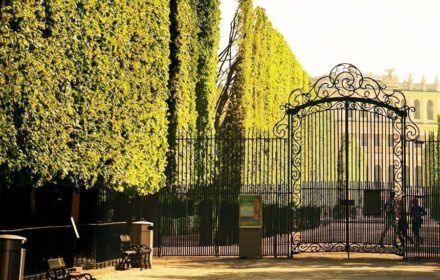 ¿Cómo evitar colas en el Palacio de Schönbrunn? Consejos 2026 🎟️