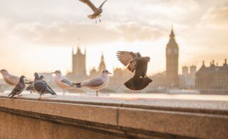 ¿Cómo visitar sin colas la Abadía de Westminster? Consejos 2026 🎟️