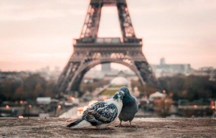 Consejos para visitar la Torre Eiffel