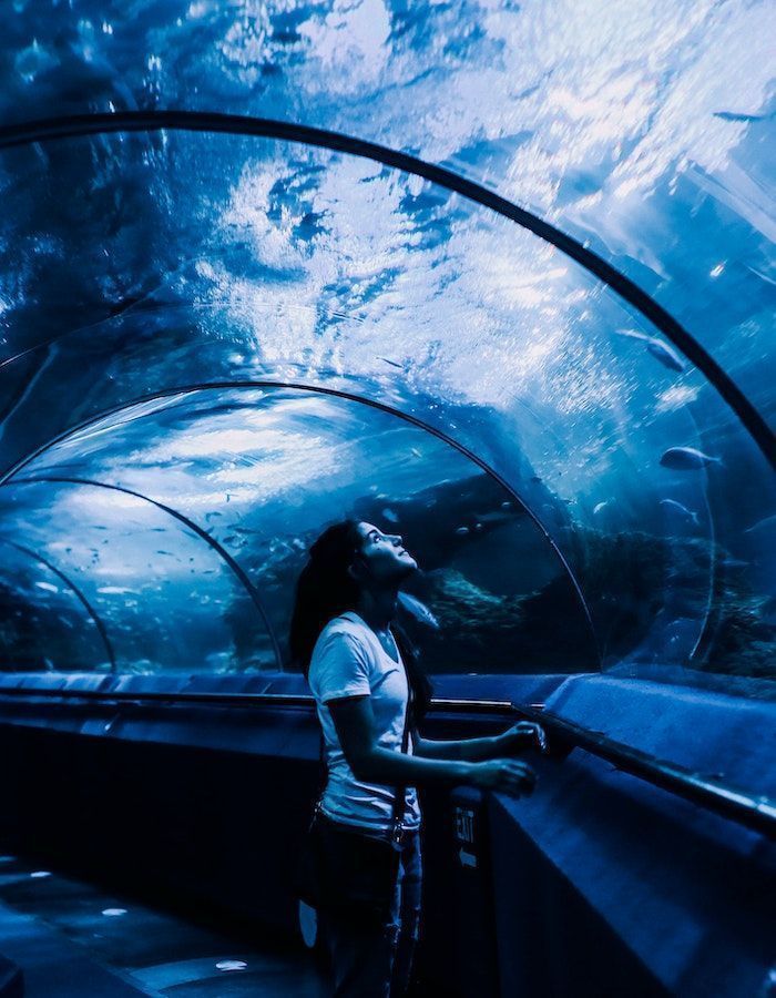 Pasillos y zonas de exposición en el Oceanográfico de Valencia