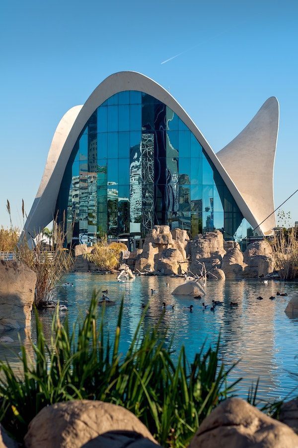 Vistas de la Ciudad de las Artes y las Ciencias de Valencia junto al Oceanográfico